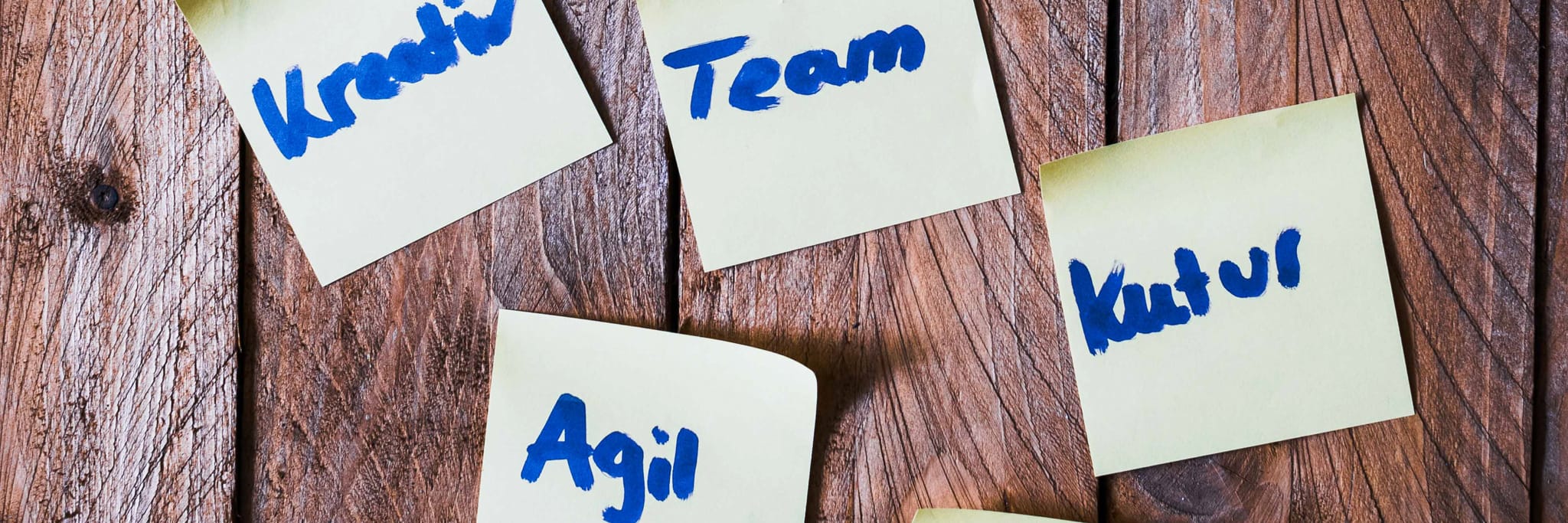 Post-Its mit Begriffen aus dem Berufsleben